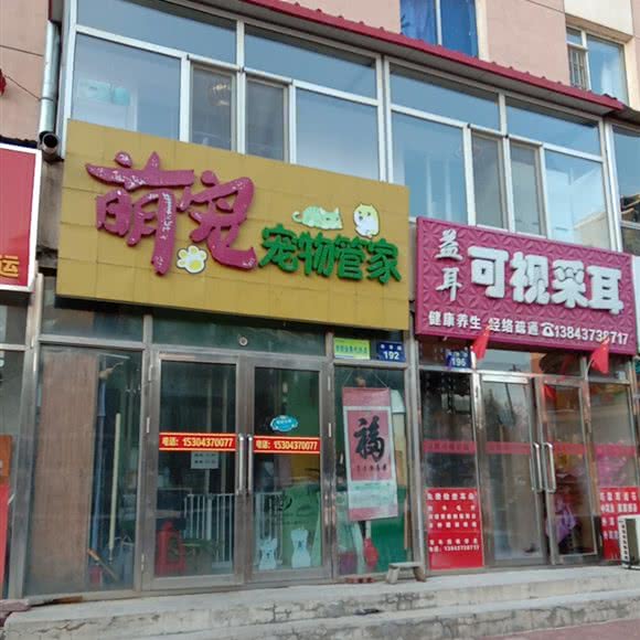 萌宠宠物管家:辽源市龙山区四百附近