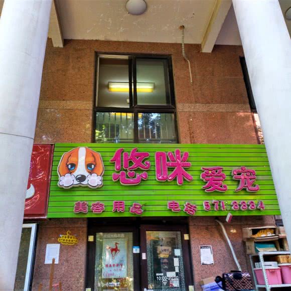 悠咪爱宠:北京城区丰台区洋桥/木樨园附近