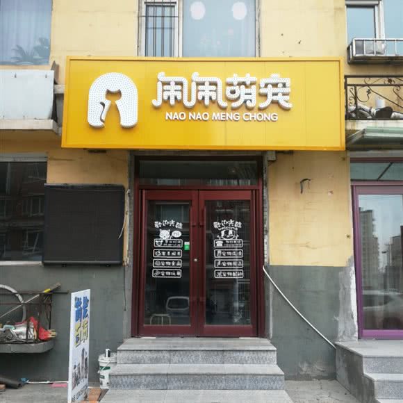 闹闹萌宠:通化市东昌区第一中学/五月花附近