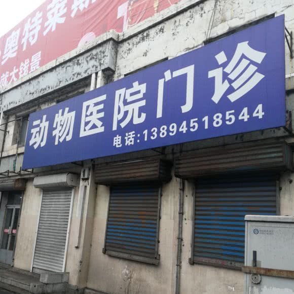 动物医院门诊:通化市东昌区老站附近