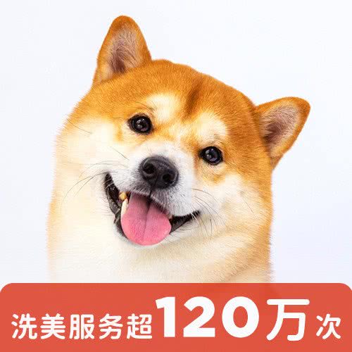 狗狗家:北京城区丰台区洋桥/木樨园附近