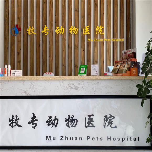 牧专宠物医院(江北店):松原市宁江区团结街物资局商圈附近