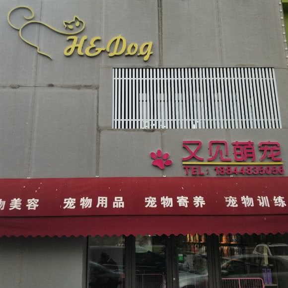 又见萌宠:松原市宁江区亚泰商圈附近