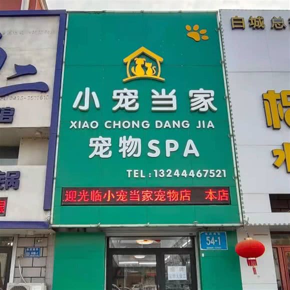 小宠当家宠物店:白城市洮北区大润发附近