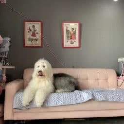 DRUNKEN PUPS喝醉的小狗:哈尔滨市道里区中央大街索菲亚广场附近