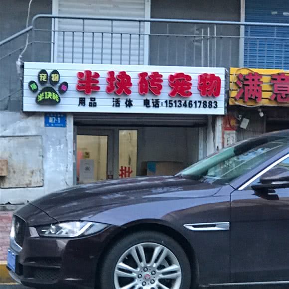 半块砖宠物:哈尔滨市道里区中央大街索菲亚广场附近