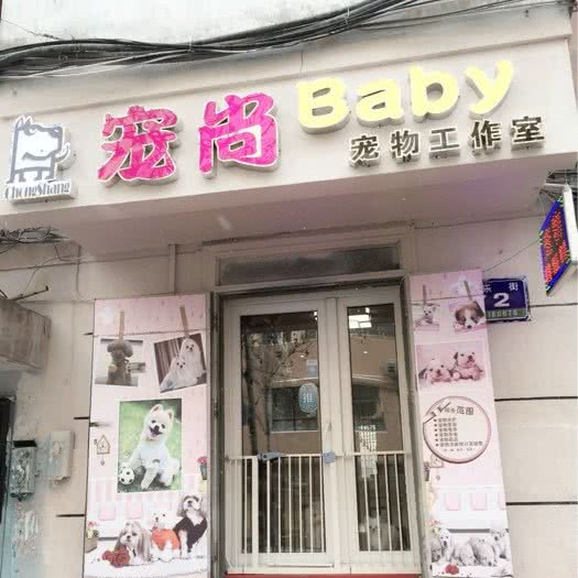 宠尚Baby宠物工作室:哈尔滨市道里区新阳路附近