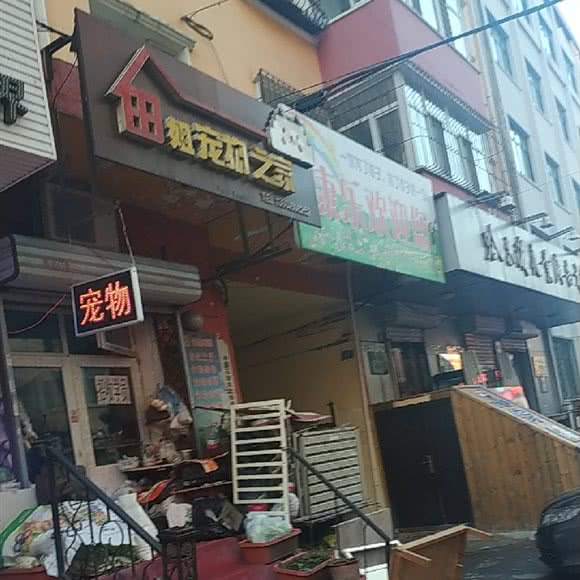 田姐宠物之家:哈尔滨市道里区新阳路附近