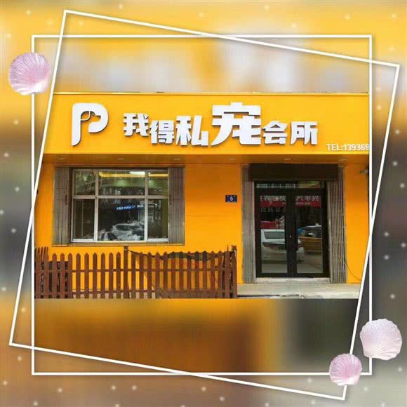 我得私宠会所:哈尔滨市道里区新阳路附近
