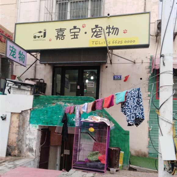 嘉宝宠物:哈尔滨市道里区新阳路附近
