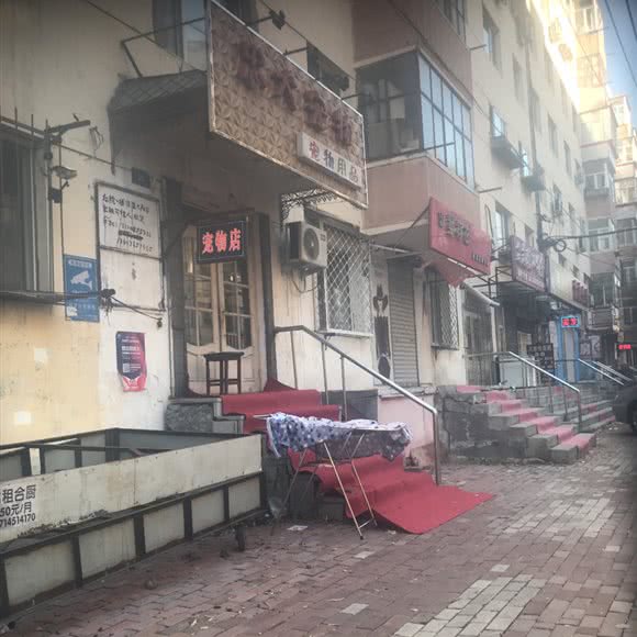 忠犬宠物:哈尔滨市道里区新阳路附近