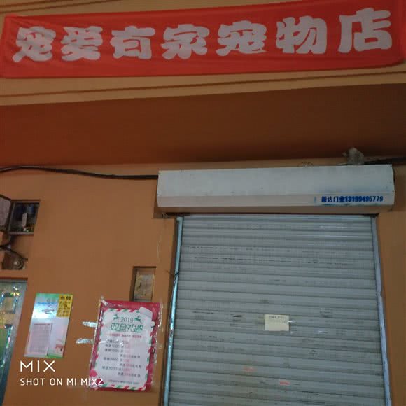 宠爱有家宠物店:哈尔滨市道里区新阳路附近