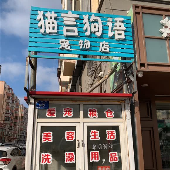 猫言狗语:哈尔滨市道里区新阳路附近