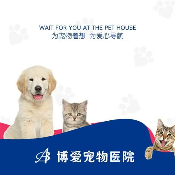 博爱宠物医院:哈尔滨市道里区新阳路附近