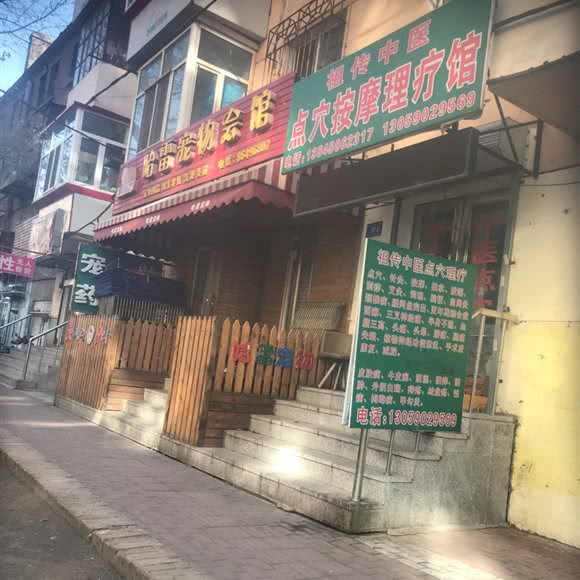 哈雷宠物会馆:哈尔滨市道里区爱建社区附近