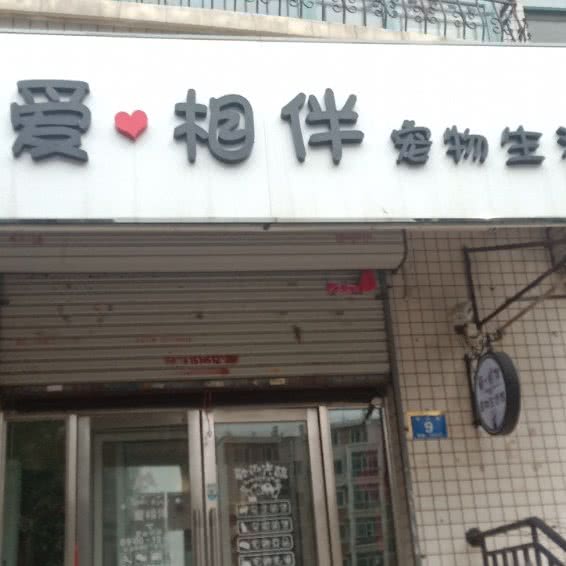 爱相伴宠物生活馆:哈尔滨市道里区顾乡附近