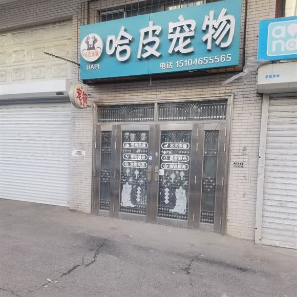 哈皮宠物:哈尔滨市道里区顾乡附近
