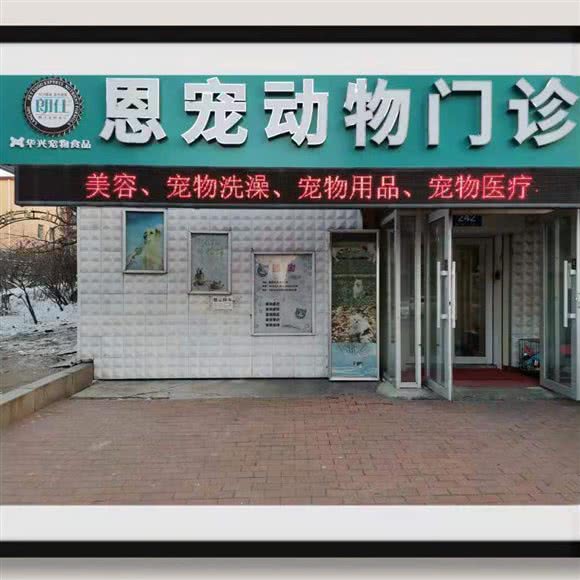 恩宠动物门诊:哈尔滨市道里区顾乡附近