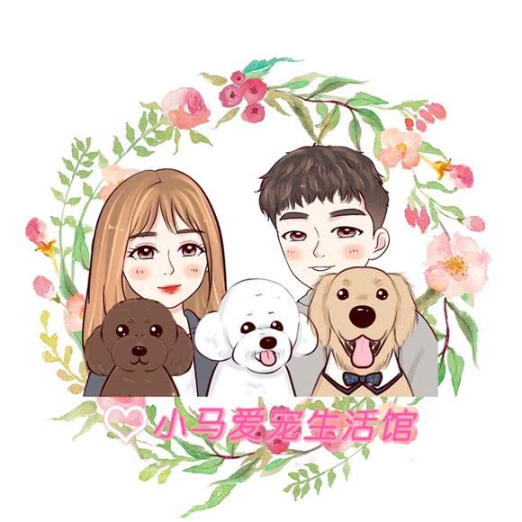 小马爱宠生活馆:哈尔滨市道里区群力地区附近