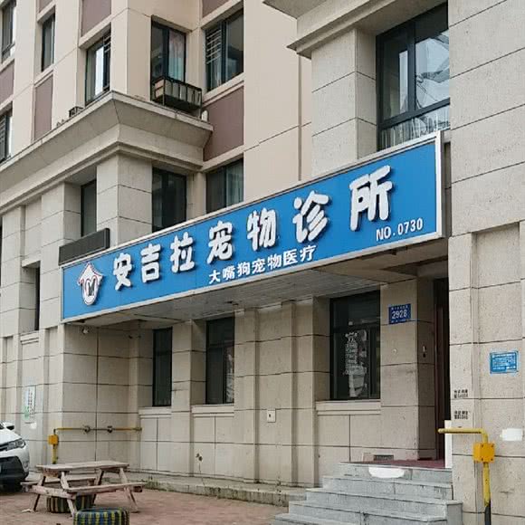 安吉拉宠物诊所:哈尔滨市道里区群力地区附近