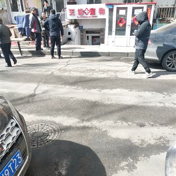 天缘宠物:哈尔滨市道里区建国公园附近