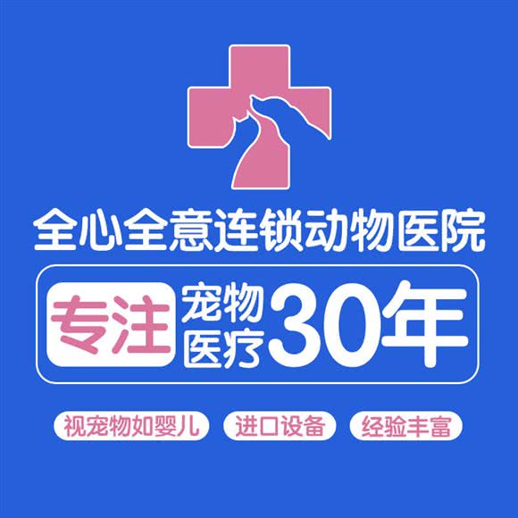 全心全意动物医院(公益西桥分院):北京城区丰台区草桥/公益西桥附近