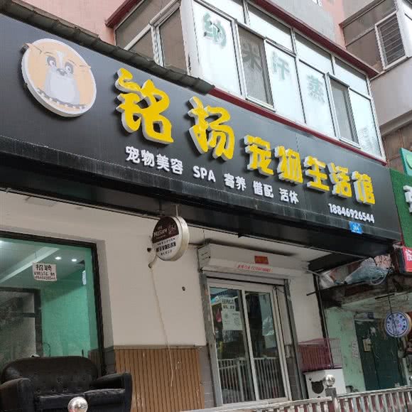 铭扬宠物生活馆:哈尔滨市南岗区开发区附近