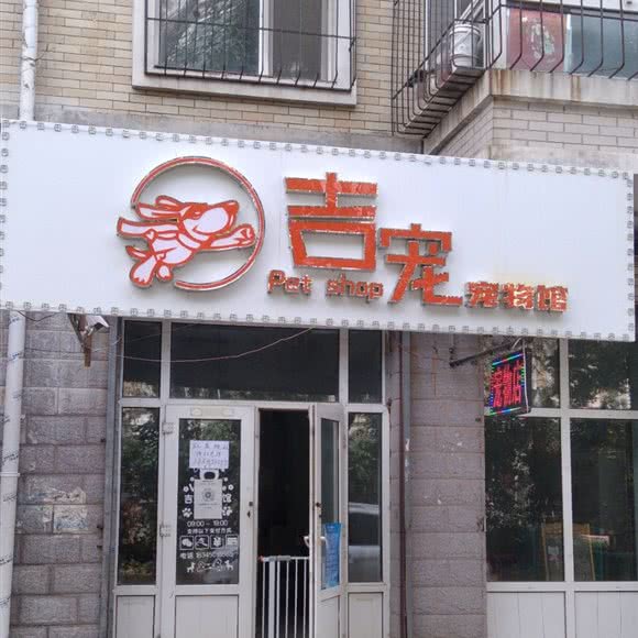 吉宠宠物馆:哈尔滨市南岗区开发区附近
