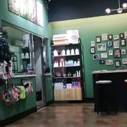 壹只宠宠物生活馆(闽江路店):哈尔滨市南岗区开发区附近