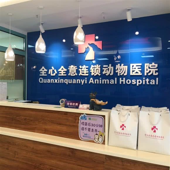 全心全意连锁动物医院24h(草桥店):北京城区丰台区草桥/公益西桥附近