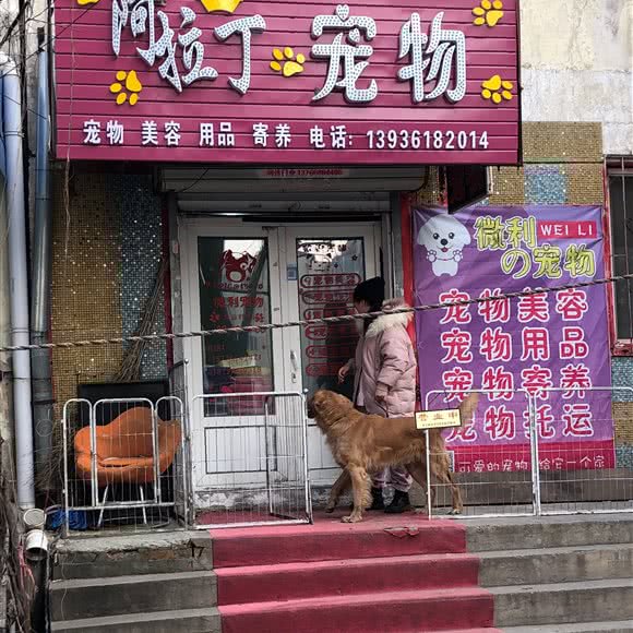 阿拉丁宠物:哈尔滨市南岗区开发区附近