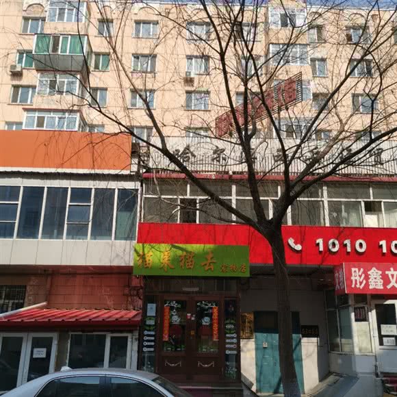 猫来兔去:哈尔滨市南岗区开发区附近