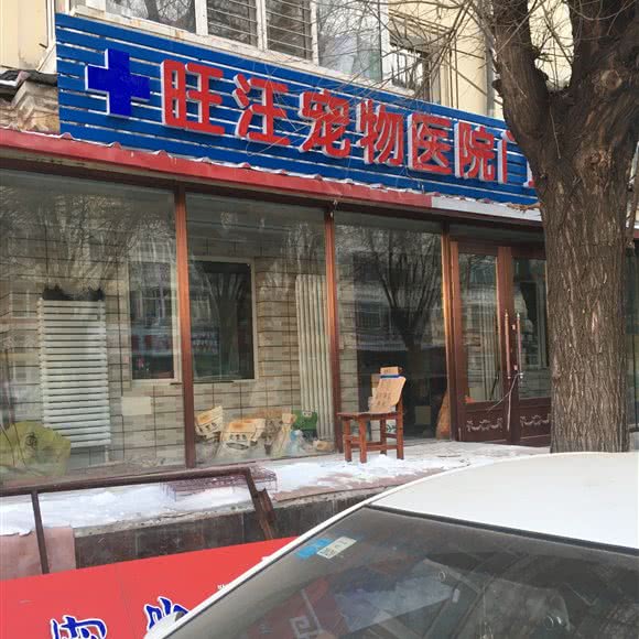 旺汪宠物医院门诊:哈尔滨市南岗区开发区附近
