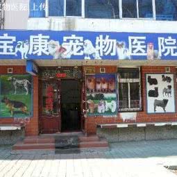 宝康宠物医院:哈尔滨市南岗区哈工大/教化广场附近
