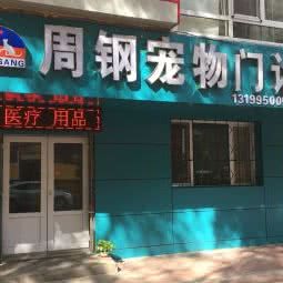 周钢宠物门诊:哈尔滨市南岗区哈工大/教化广场附近