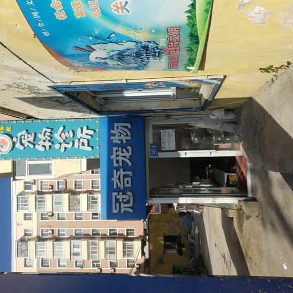 海龙宠物狗诊所:哈尔滨市南岗区哈工大/教化广场附近