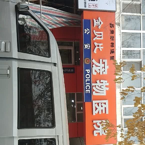 金贝比宠物医院:哈尔滨市南岗区哈工大/教化广场附近