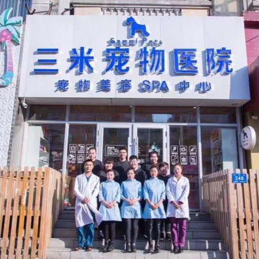 三米宠物医院:哈尔滨市南岗区哈工大/教化广场附近