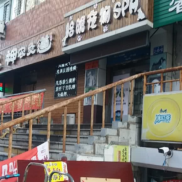 哈昵宠物美容(军工店):哈尔滨市南岗区船舶/军工院附近