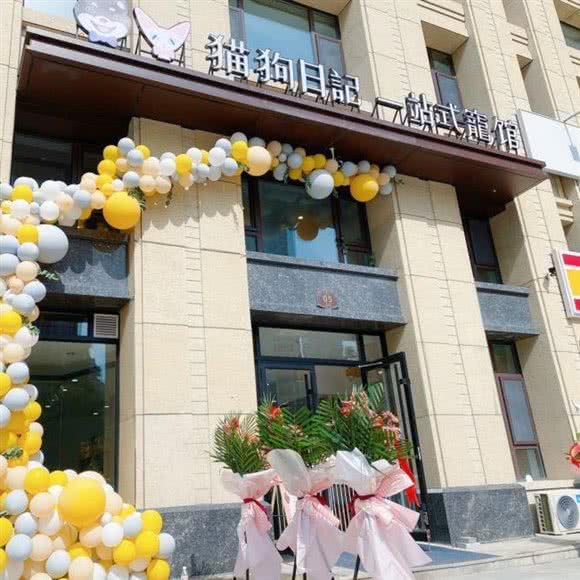 猫狗日记一站式宠馆:哈尔滨市南岗区哈西大街附近