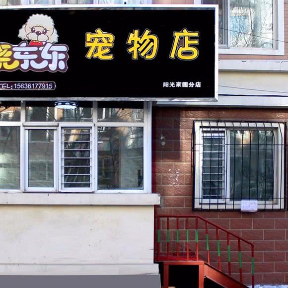 晓东东宠物店(阳光家园店):哈尔滨市南岗区哈西大街附近