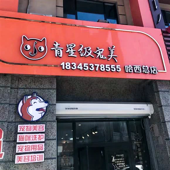 小青宠物店:哈尔滨市南岗区哈西大街附近