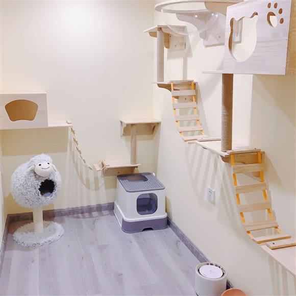 喵宿猫咪寄养酒店:哈尔滨市南岗区哈西大街附近