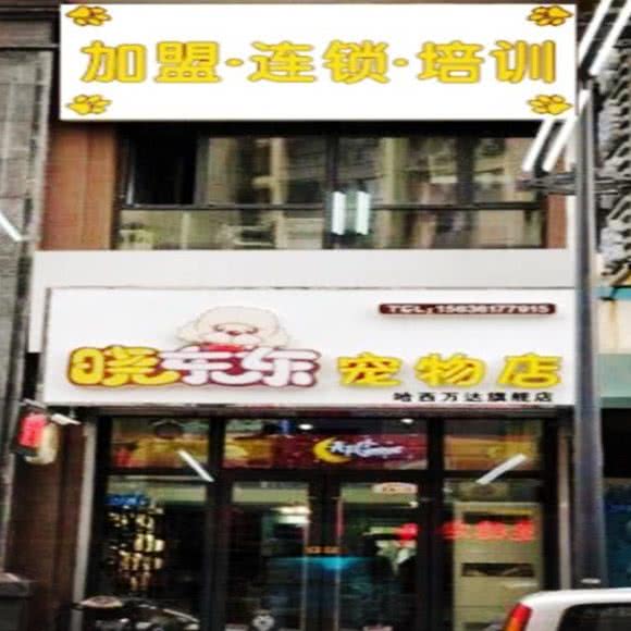 晓东东宠物店哈西万达总店(哈西万达旗舰店):哈尔滨市南岗区哈西大街附近