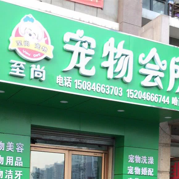 至尚狗狗会所:哈尔滨市南岗区哈西大街附近