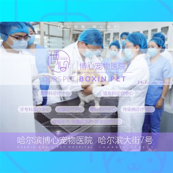 博心宠物医院:哈尔滨市南岗区哈西大街附近