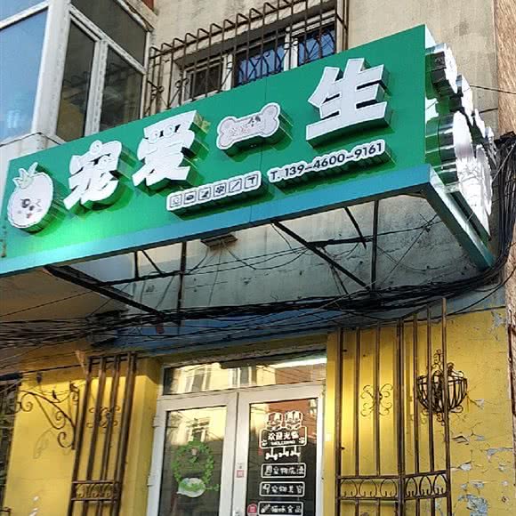 宠爱一生宠物美容馆:哈尔滨市南岗区芦家街/宣化街附近