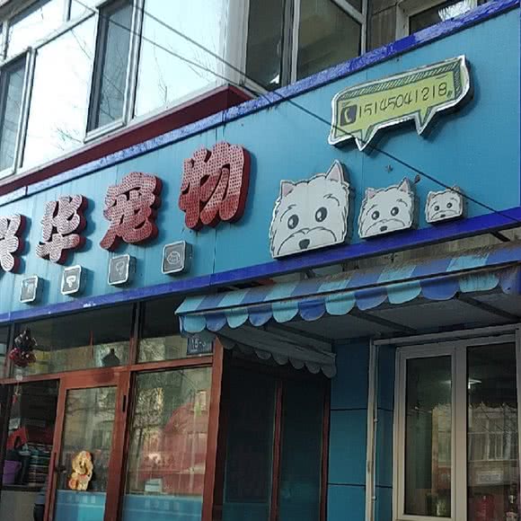 兴华狗狗:哈尔滨市南岗区芦家街/宣化街附近
