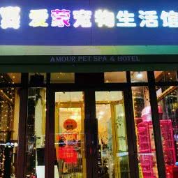 爱蒙宠物生活馆(平公街店):哈尔滨市南岗区芦家街/宣化街附近