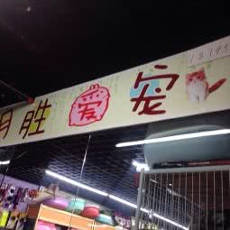 明胜爱宠·大成该店:哈尔滨市南岗区芦家街/宣化街附近